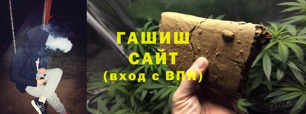 сатива Коряжма