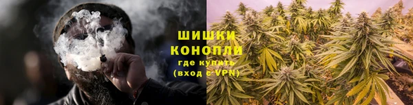 не бодяженный Шадринск