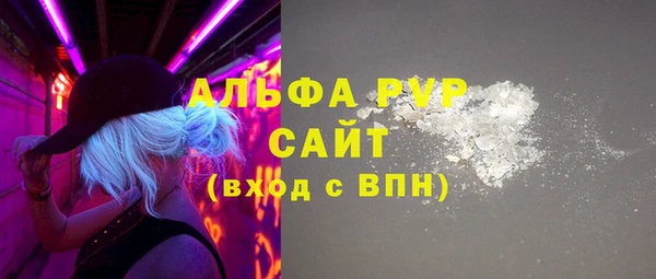 сатива Коряжма