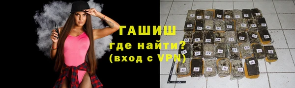 сатива Коряжма