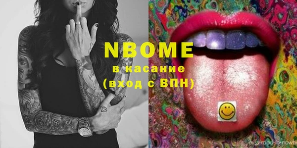 сатива Коряжма