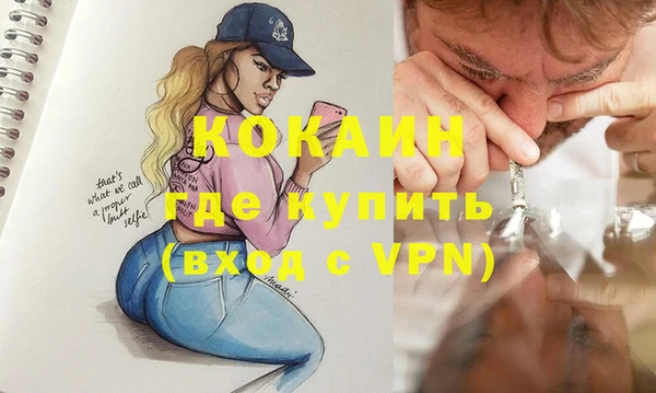 мдпв Корсаков