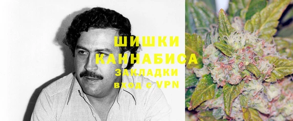 крисы Костерёво